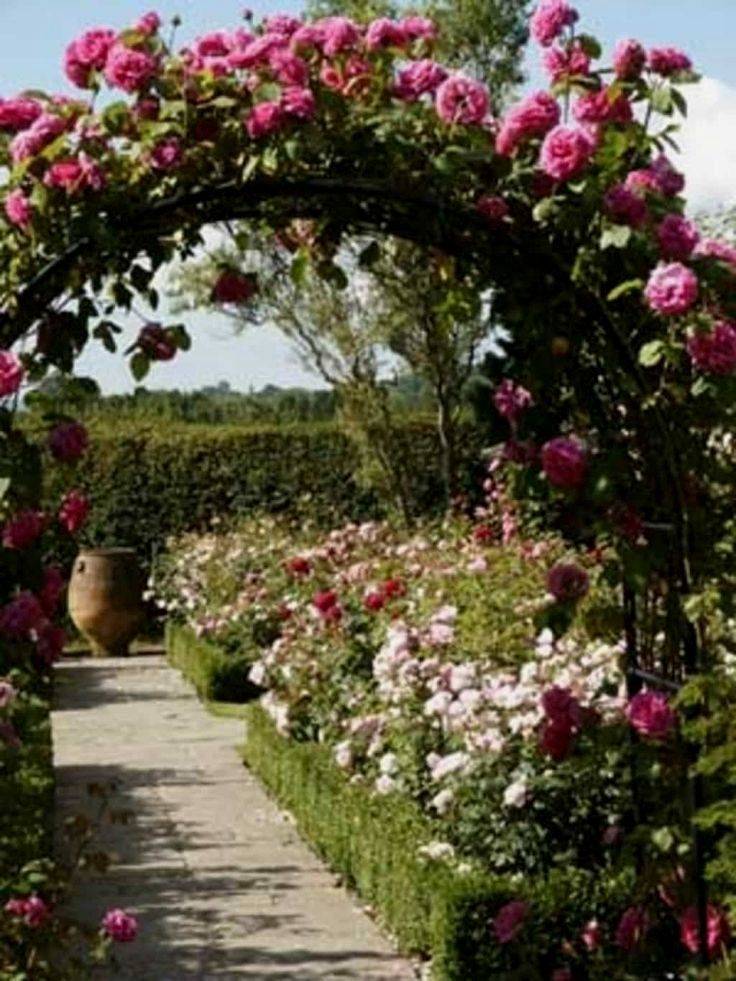 Best Cottage Style Garden Ideas
