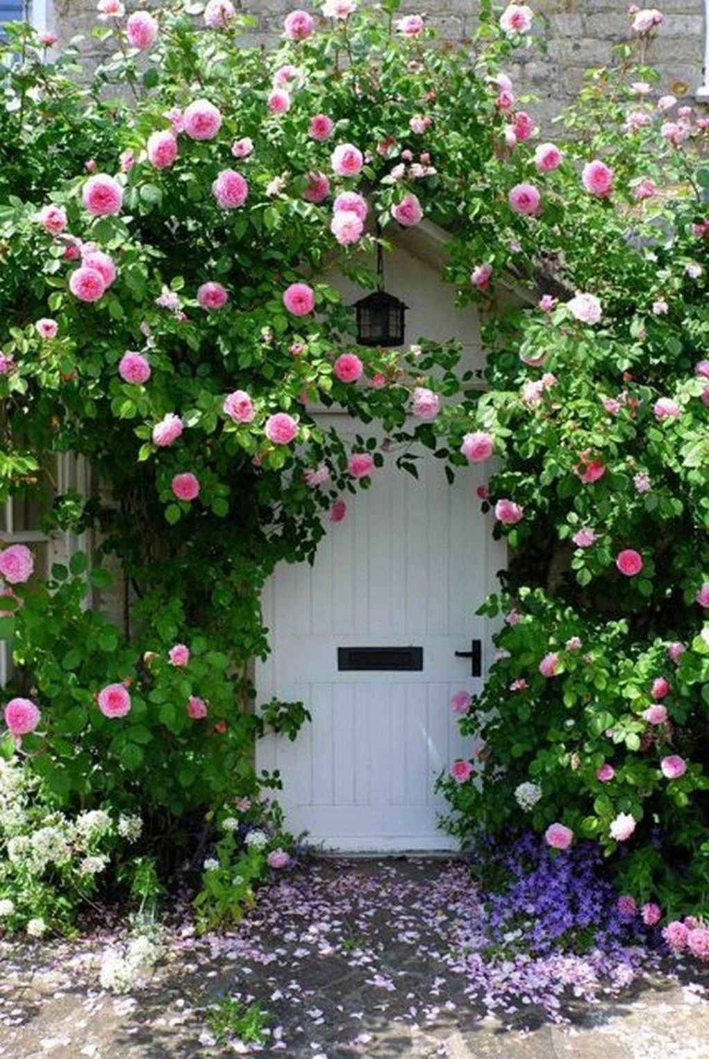 Stunning Cottage Style Garden Ideas