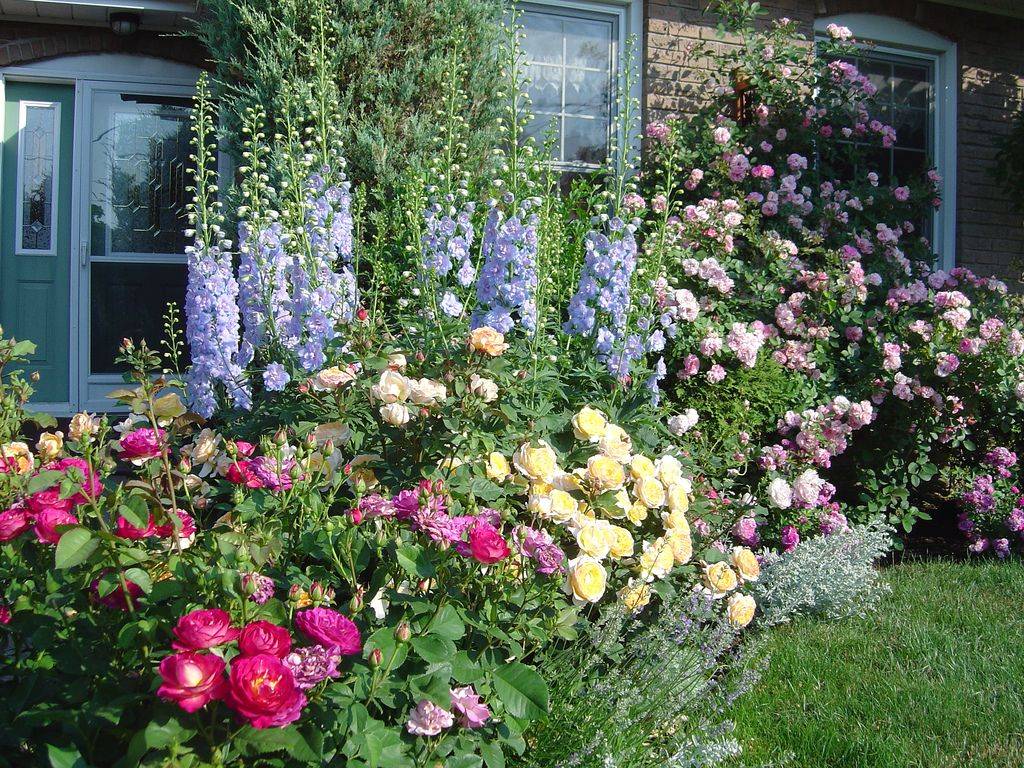 An Easycare Cottage Garden Anthony Tesselaar Plants