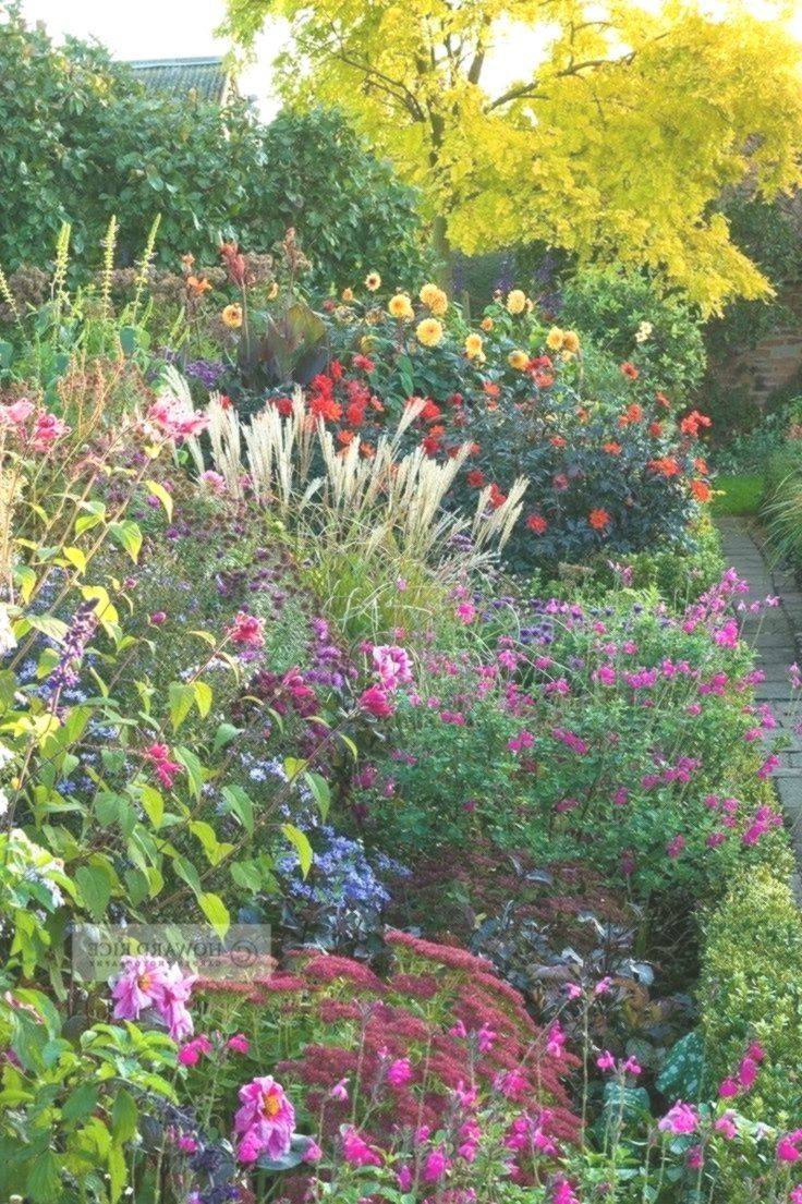 A Herbaceous Perennial Border