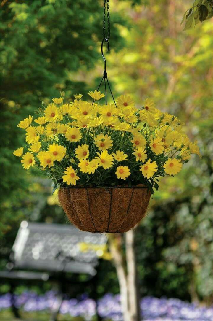 Best Diy Cottage Garden Ideas