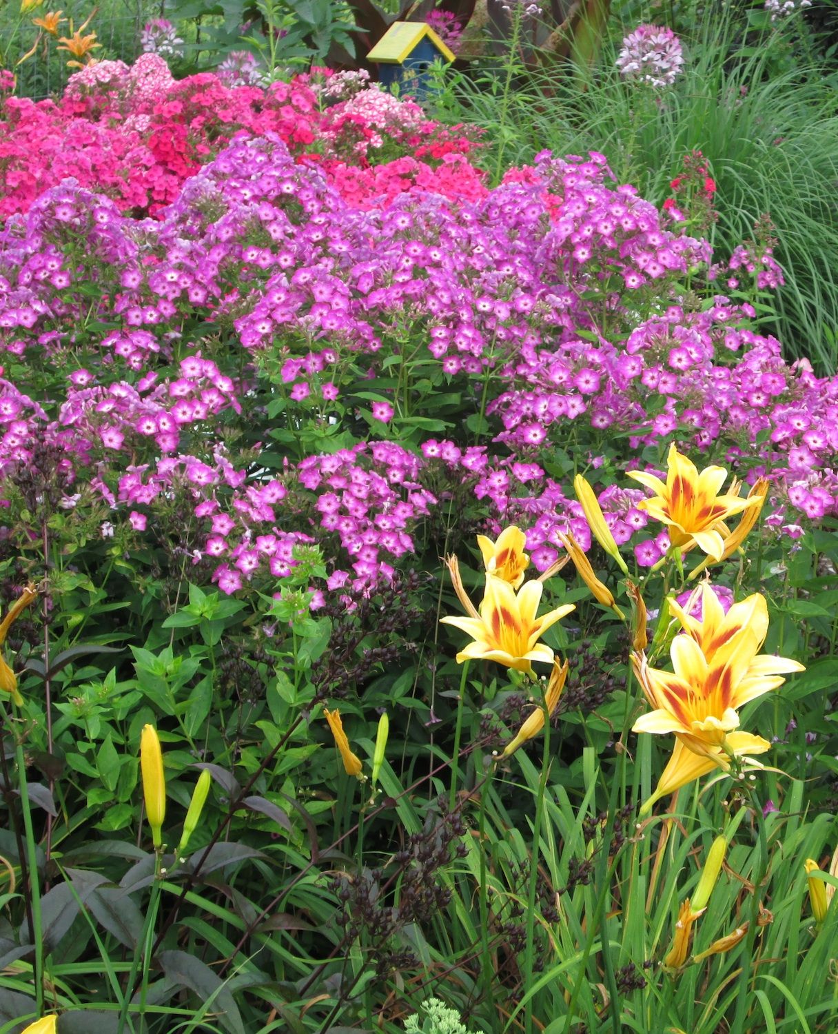 Floral Welcome Beautiful Doors