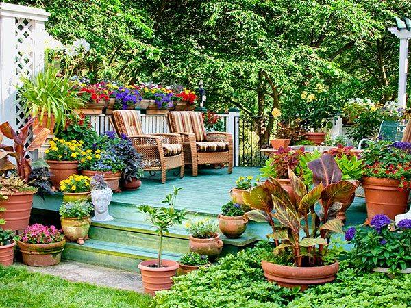 Backyard Retreats
