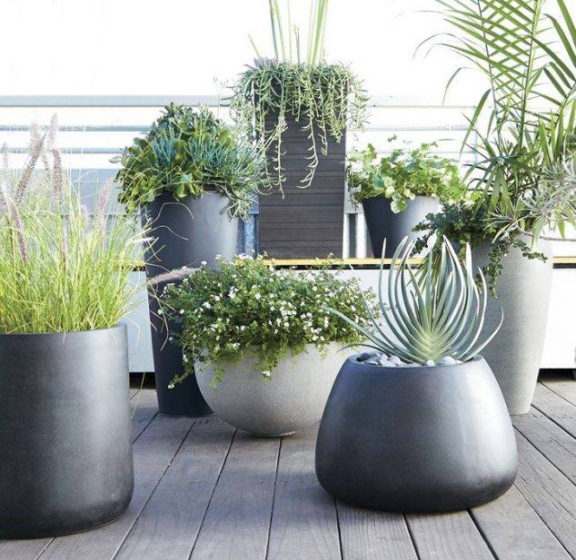 Best Contemporary Outdoor Planters Design