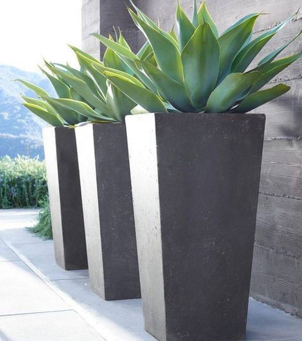 Great Modern Tall Planters Design Ideas