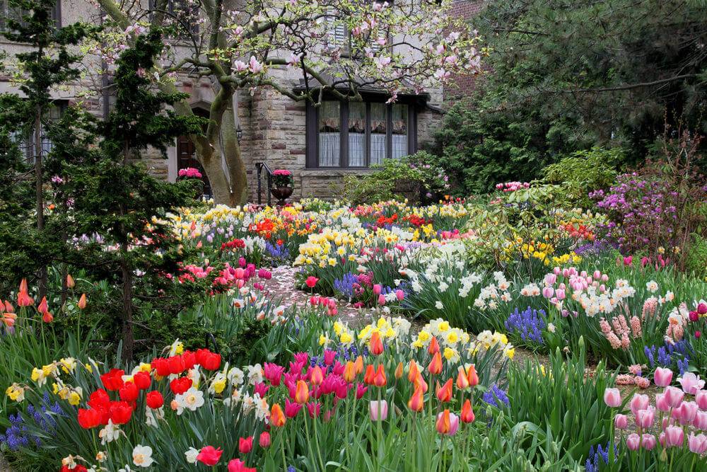 A Beautiful Spring Flowering Garden
