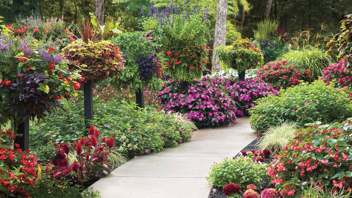 Fall Winter Flower Beds Landscape Makeover