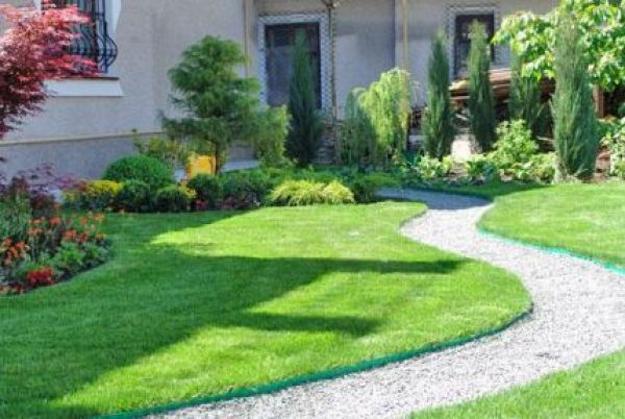 Yard Landscaping Ideas