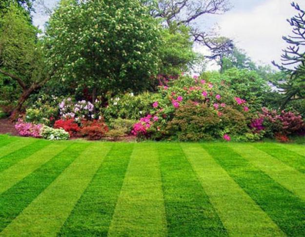 Springlandscapingtips Virginia Green Lawn Care Company