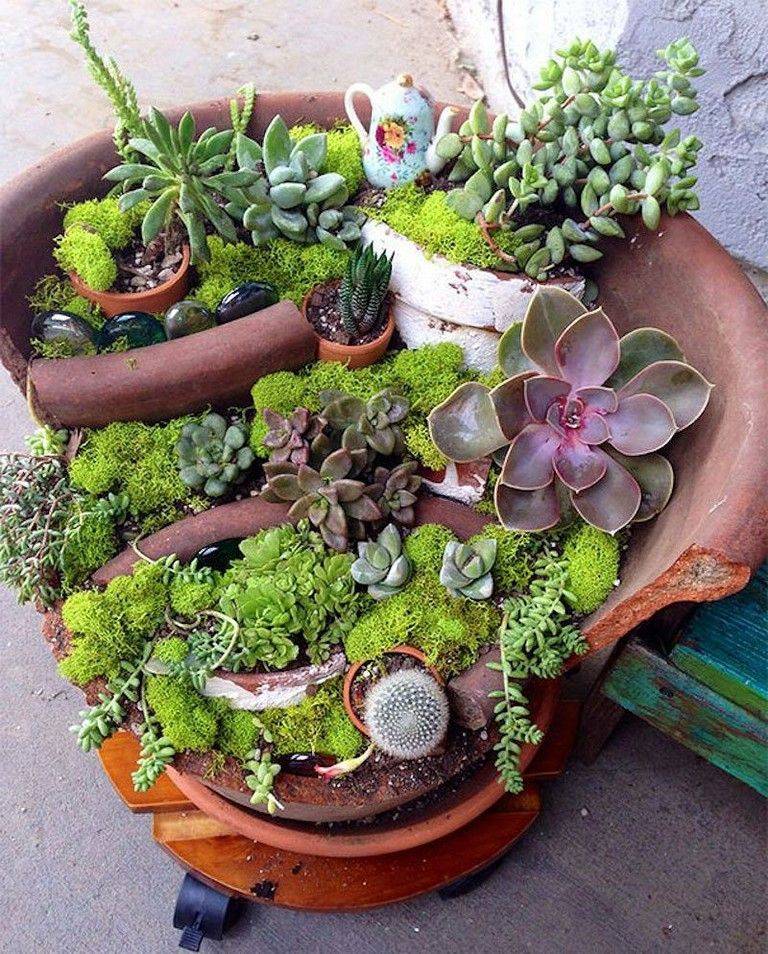 First Try For Broken Pot Planter Broken Pot Garden Succulent