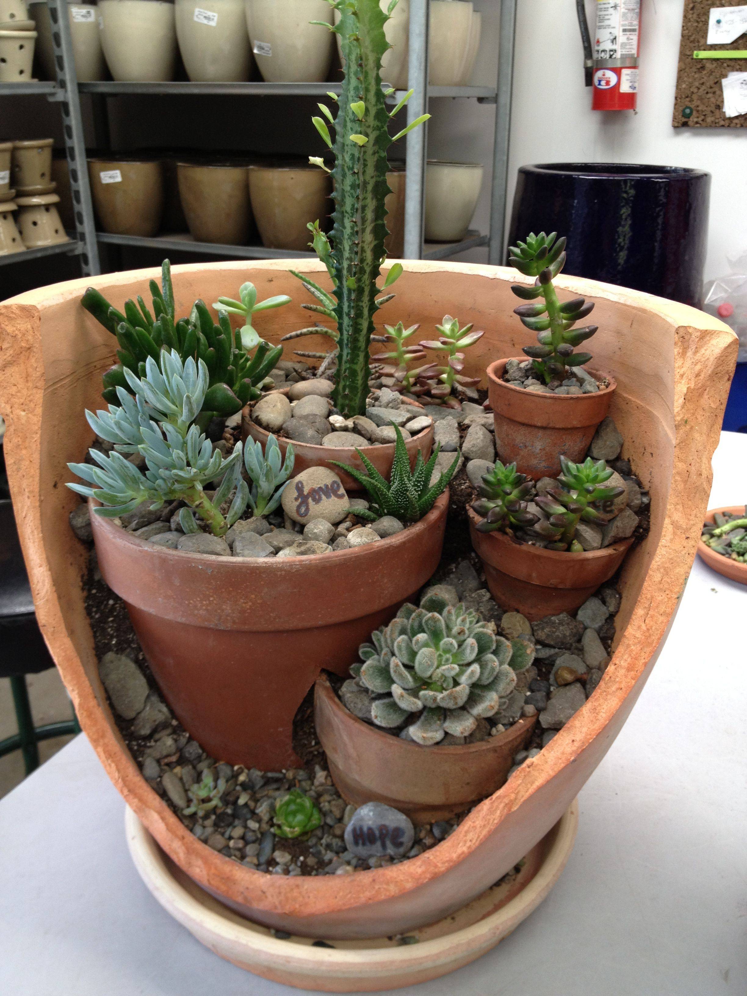 Broken Pots Top Dreamer