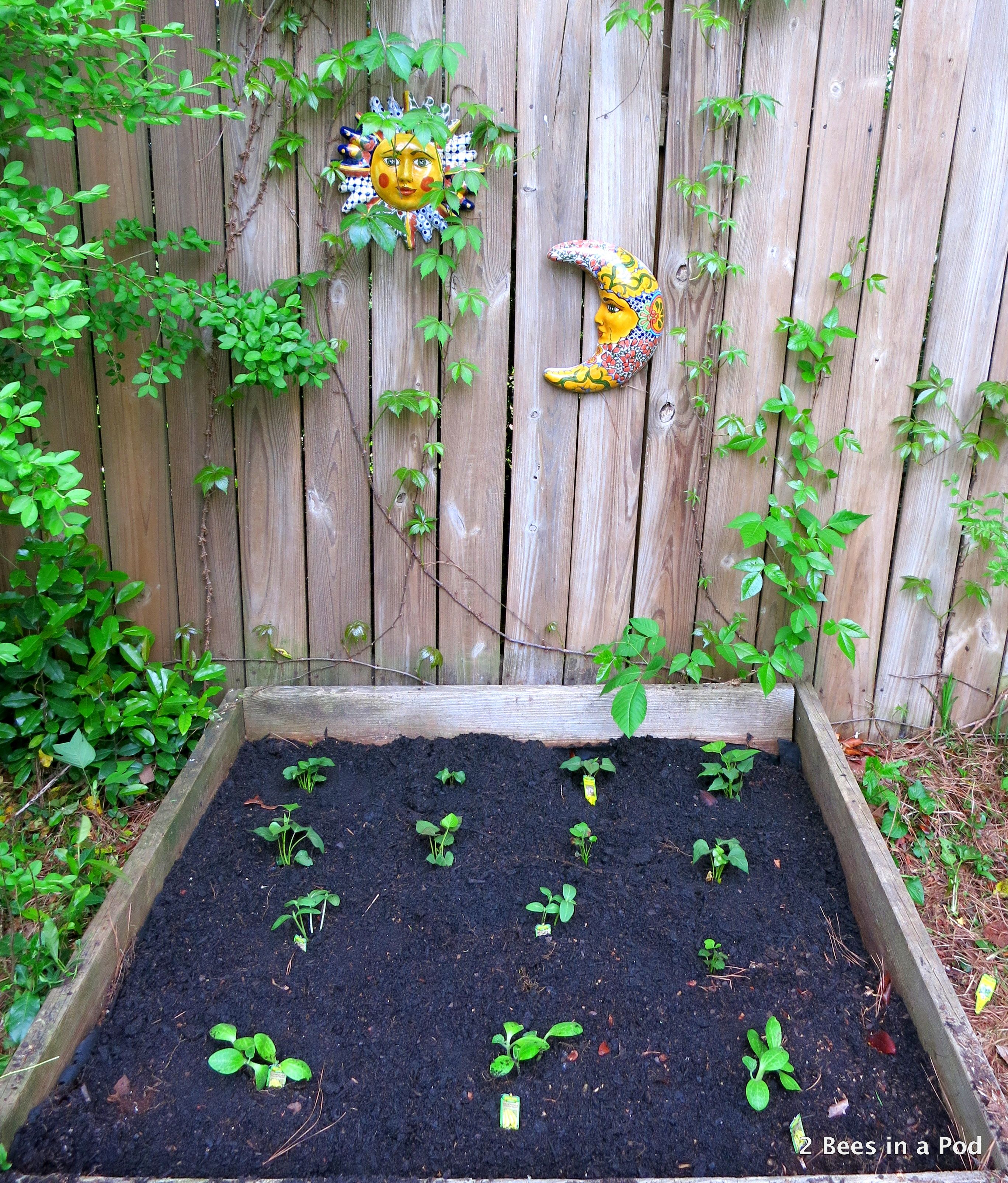 Small Space Vegetable Gardening Demonstration
