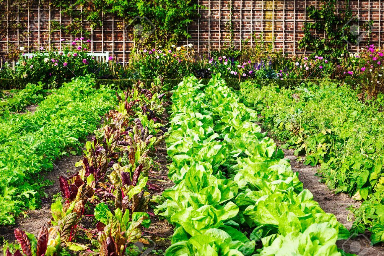 Spring Garden