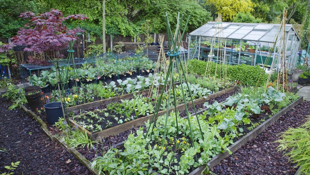 A Pod Spring Vegetable Garden