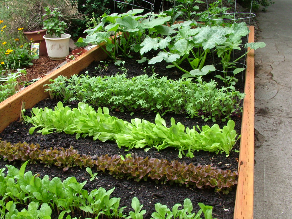 Your Spring Vegetable Garden