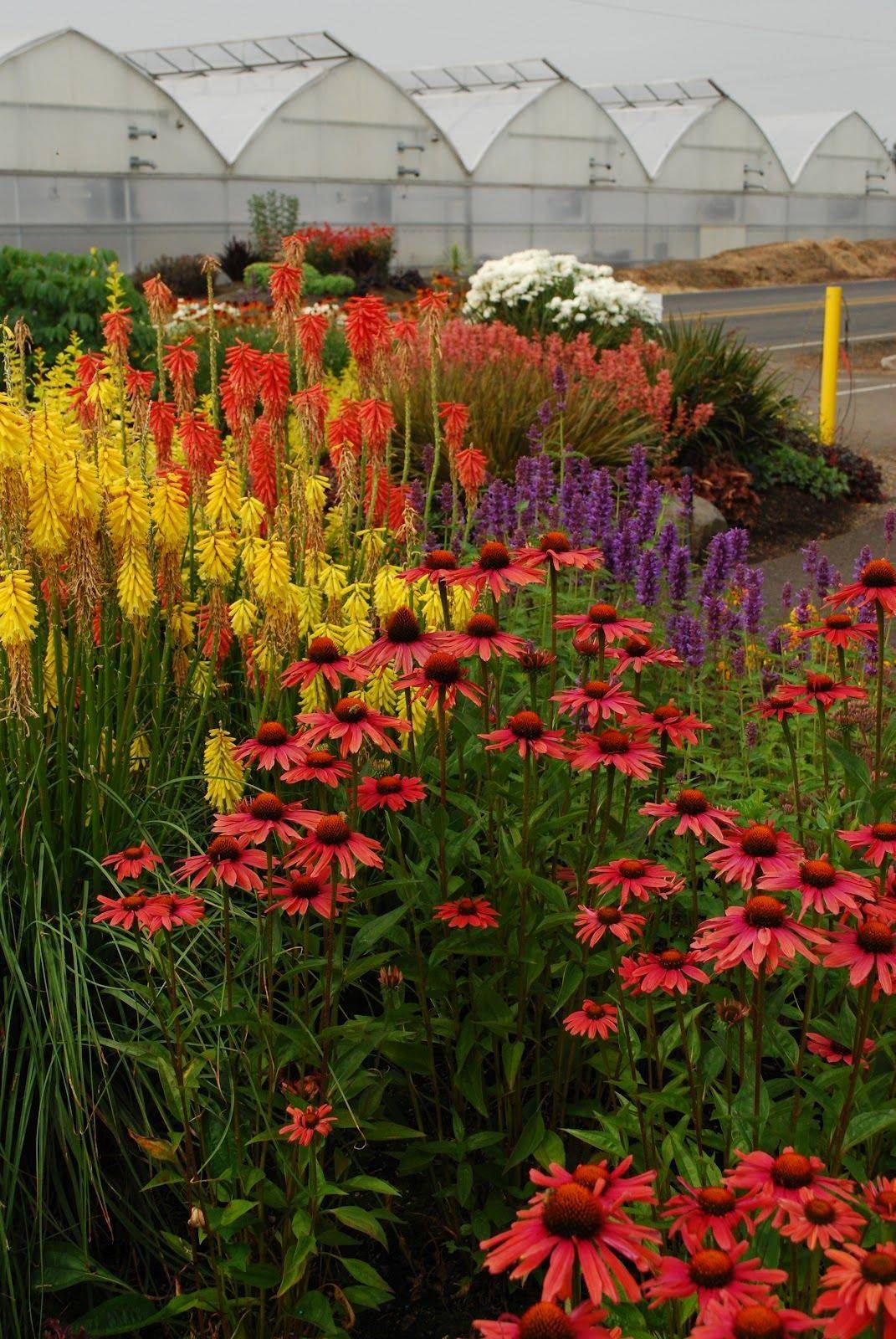 Stunning Container Garden Planting Ideas A Piece