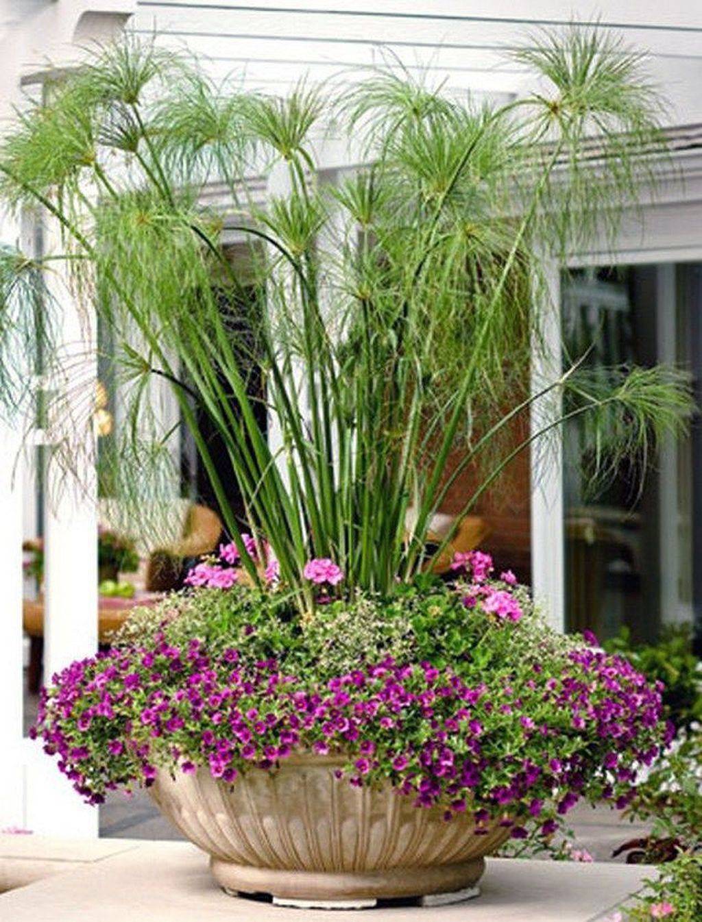 Most Beautiful Container Garden Combination Ideas You Will Love