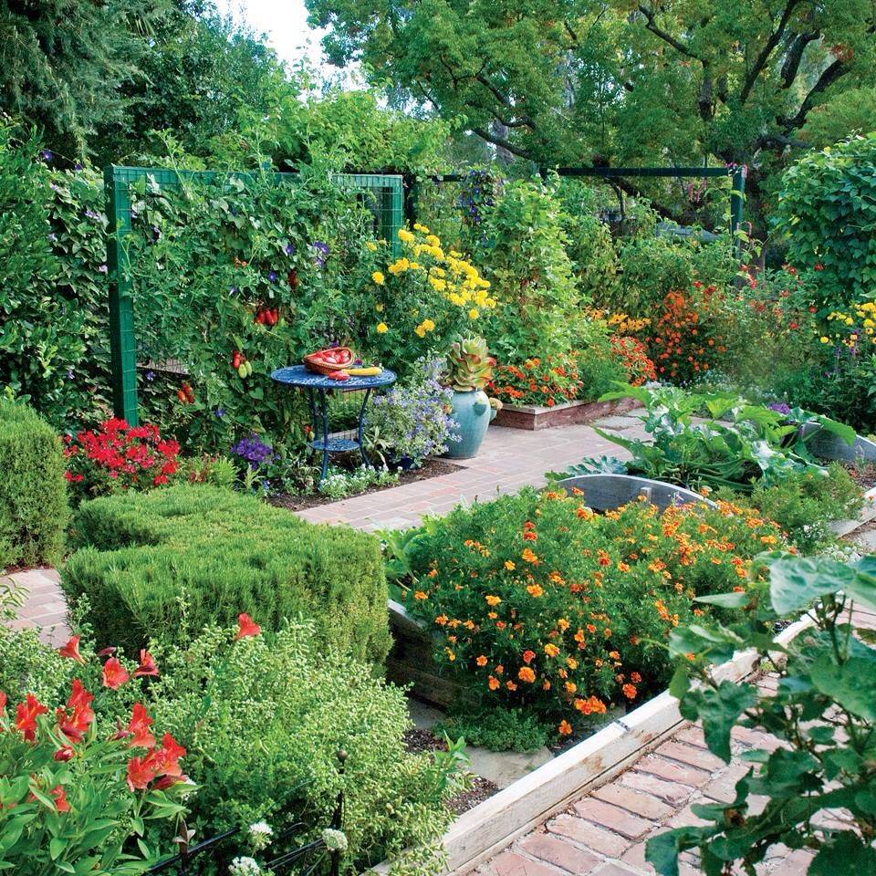 My Favorite Plant Combinations