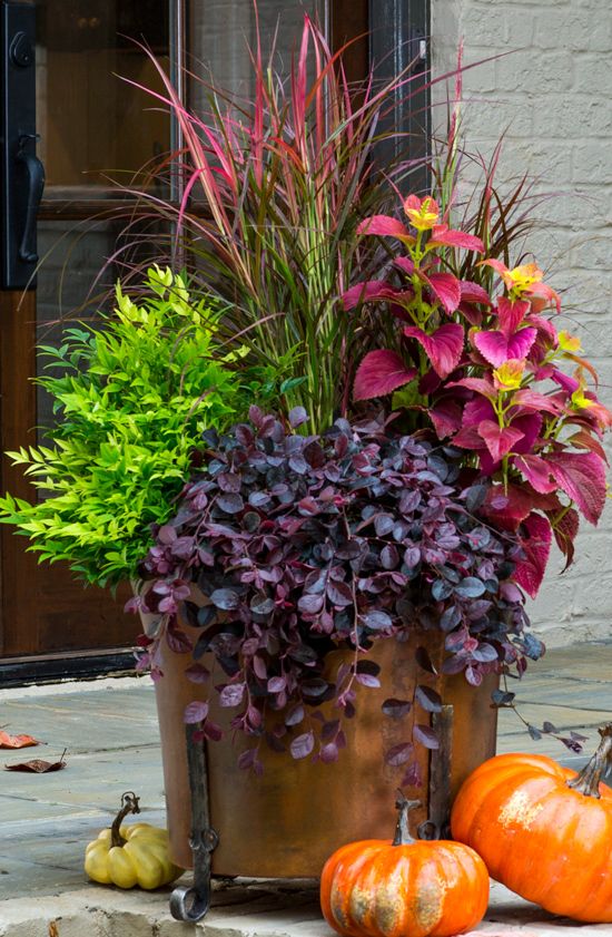 Amazing Fall Container Gardening Ideas