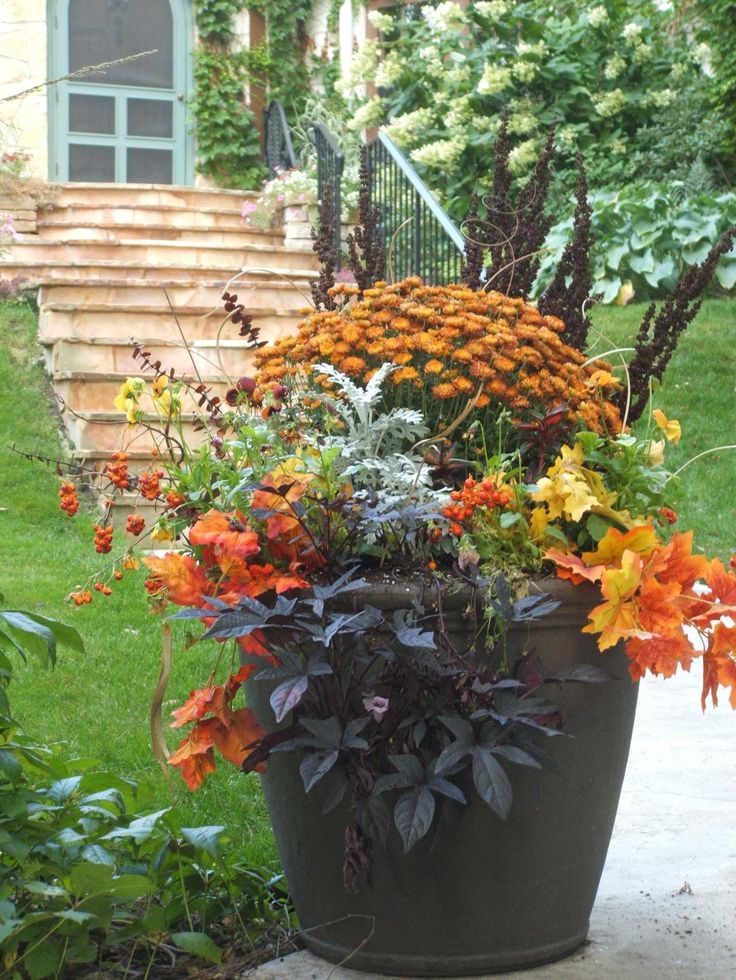 Awesomefallcontainergardenideas