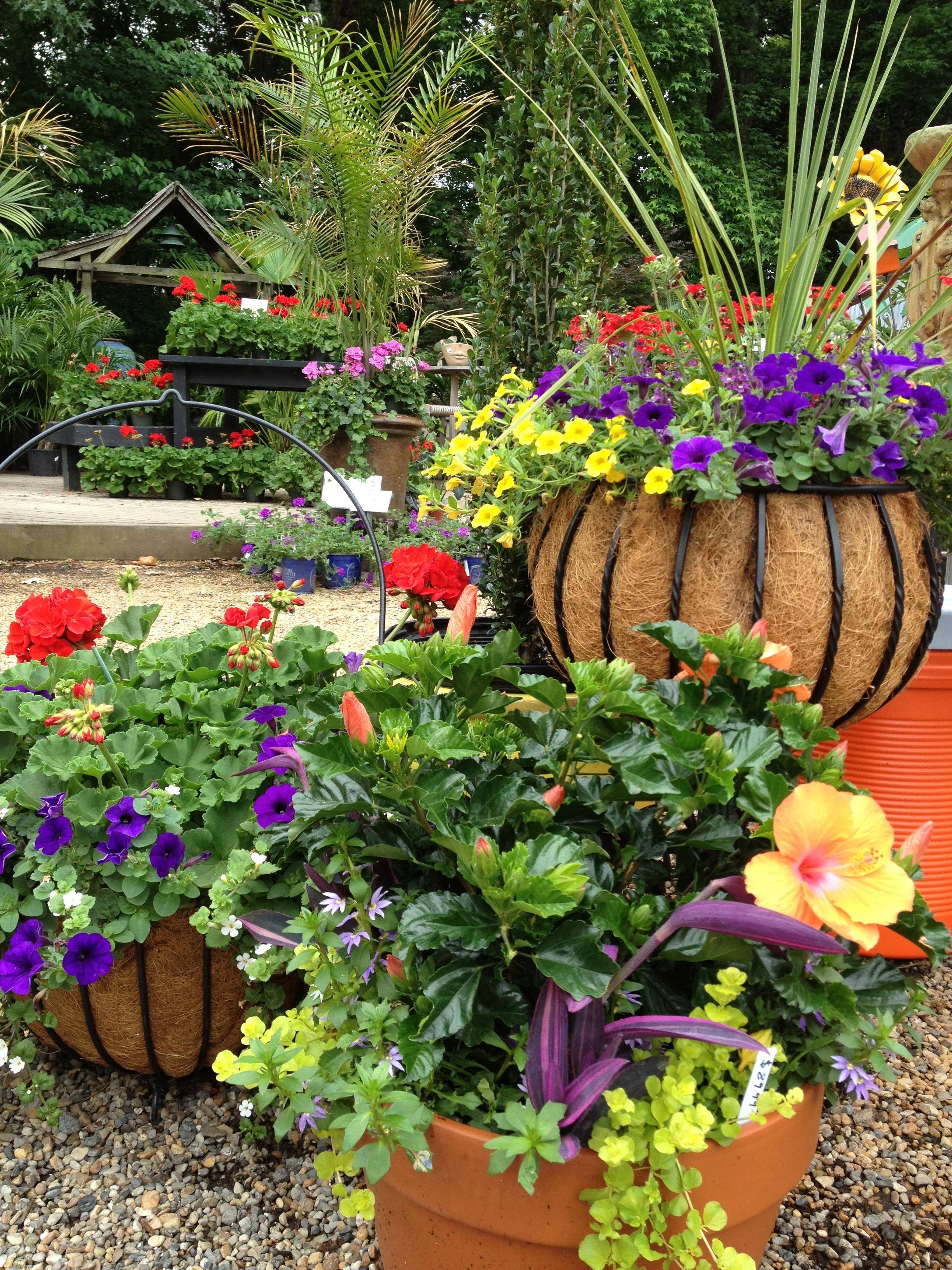 20 Small Garden Seed Planters Ideas To Try This Year SharonSable