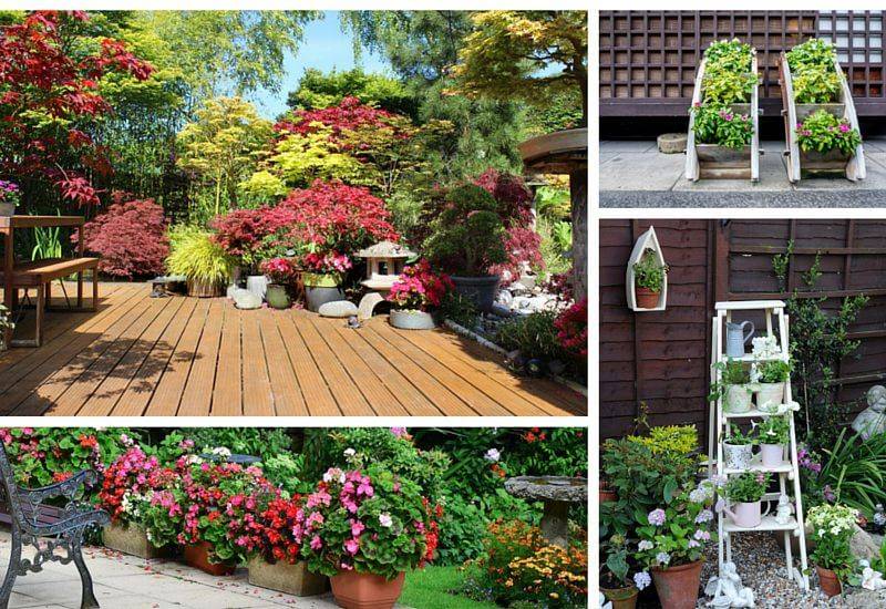 Colorful Shade Garden Pots And Plant Ideas Porch Flowers
