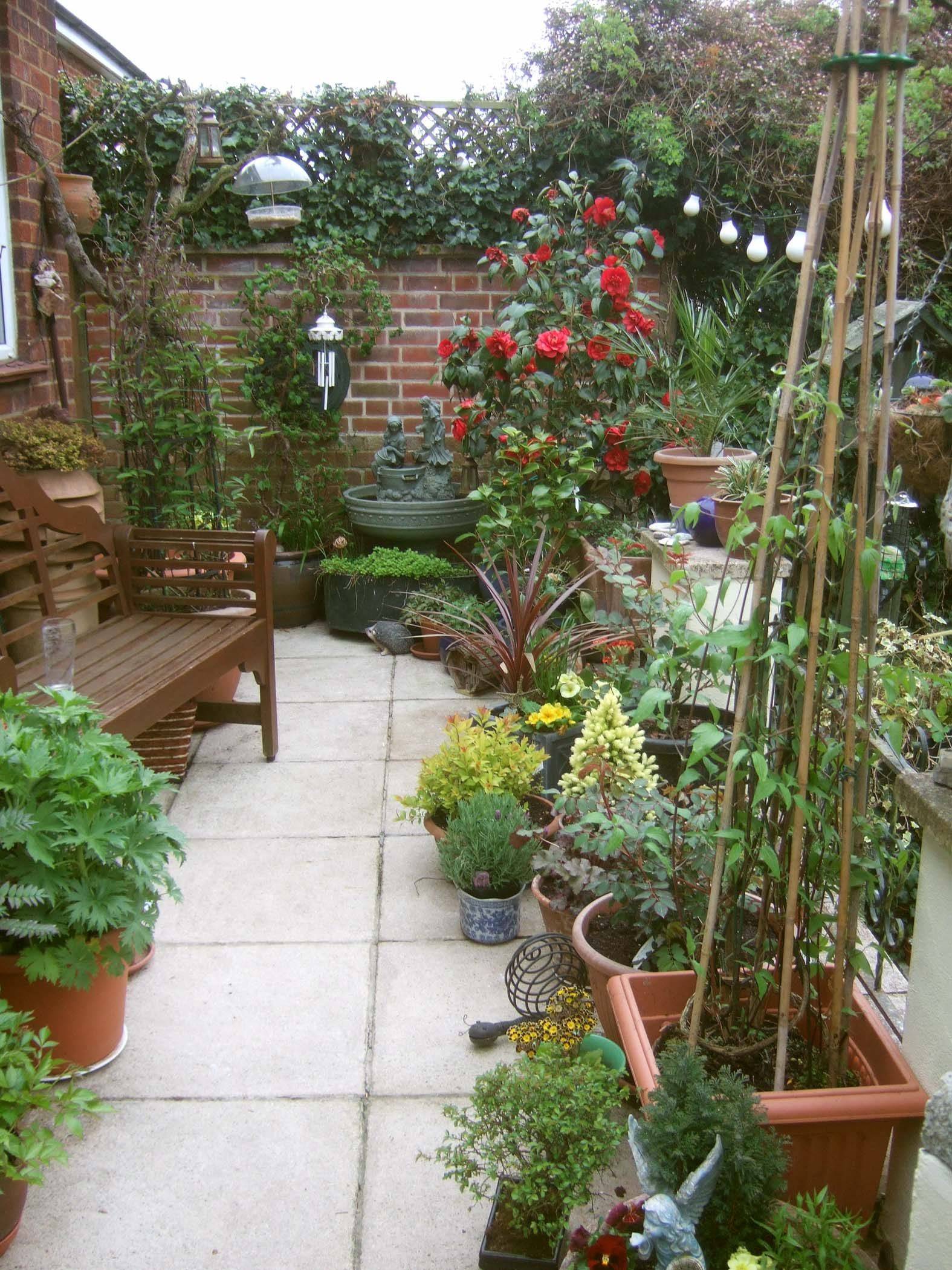 Container Gardening Ideas