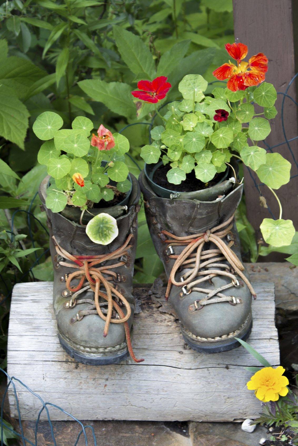 Upcycled Container Gardening Planters
