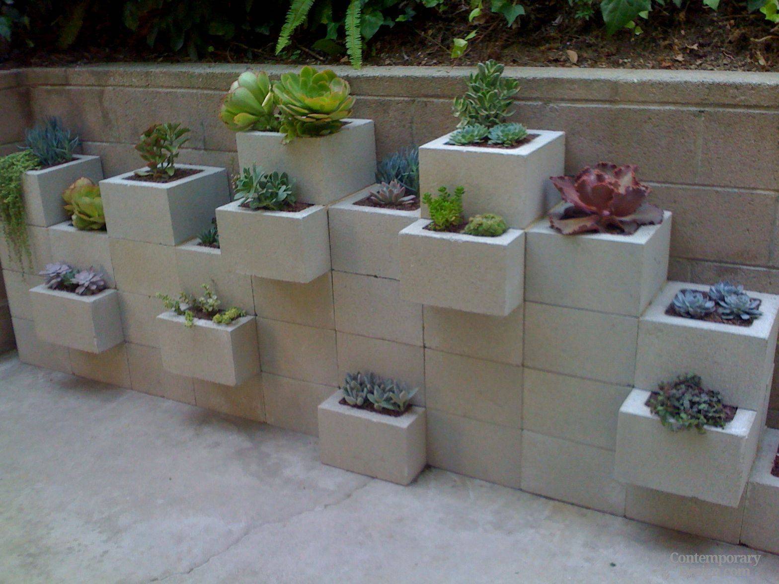 A Cinder Block Garden