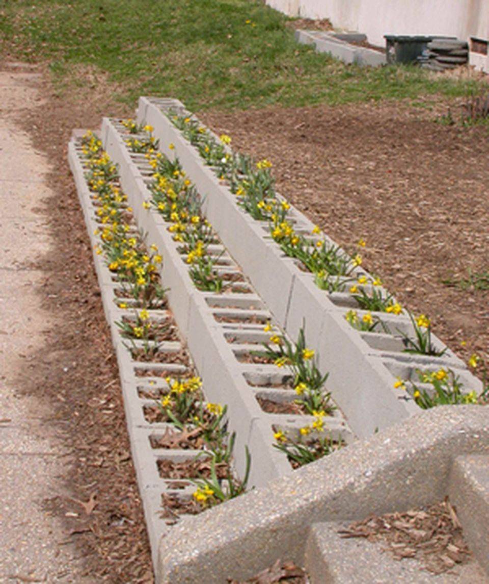 Cinder Block Succulent Planters