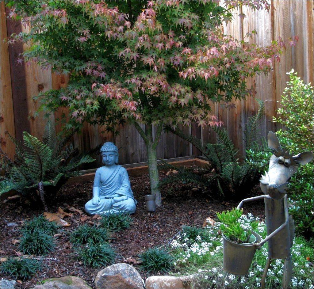 Calm Japaneseinspired Courtyard Ideas