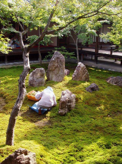 Simple Clean Modern Front Yard Landscaping Ideas Homevialandcom