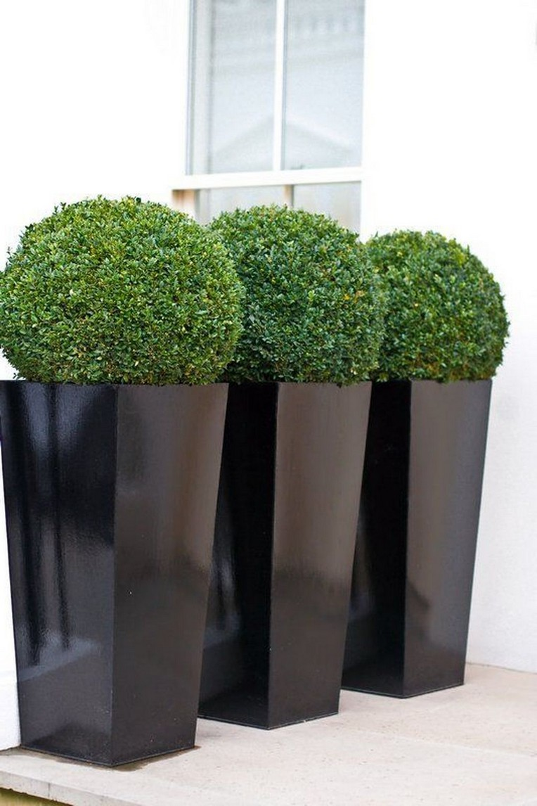 Great Modern Tall Planters Design Ideas