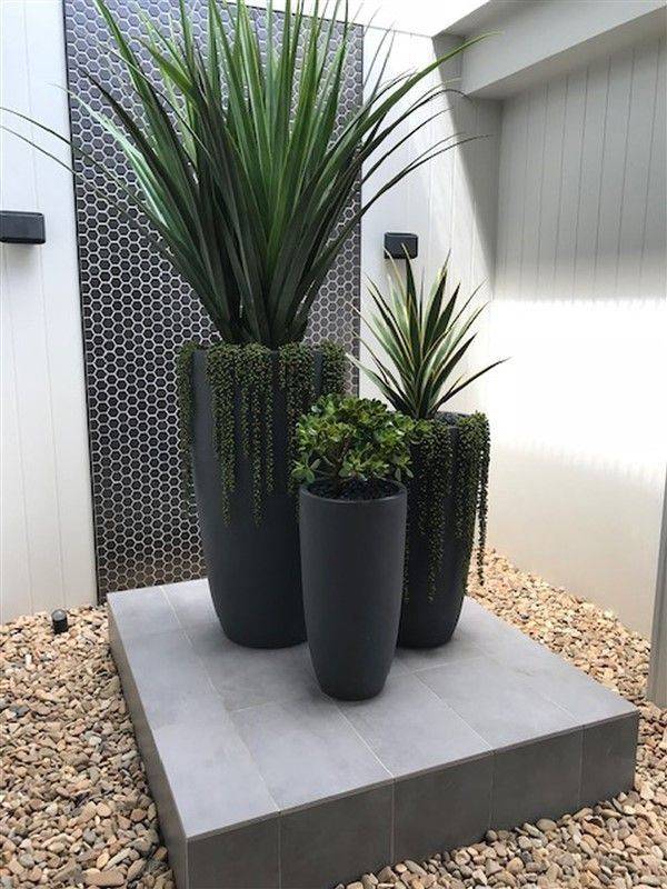 Modern Low Bowl Planters