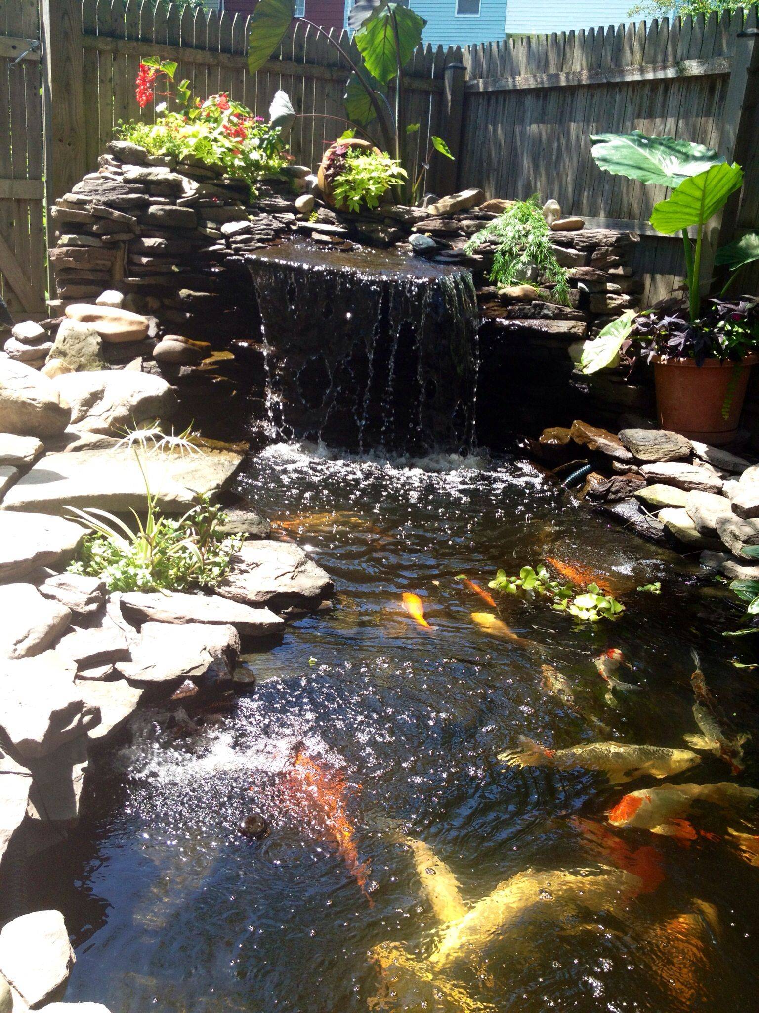 Marvelous Backyard Ponds And Water Garden Landscaping Ideas Fish