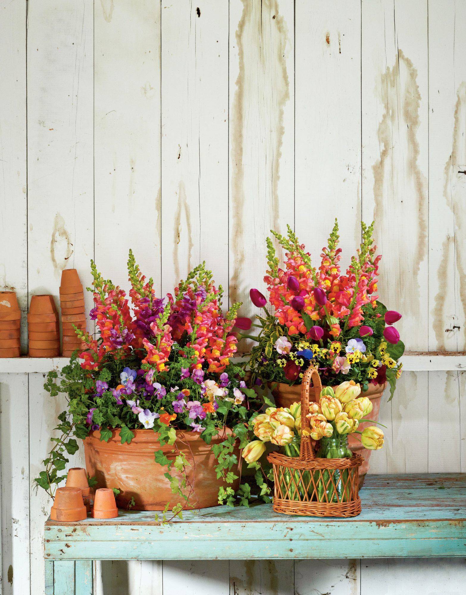 Unique And Creative Garden Planter Ideas You Never Thought Of