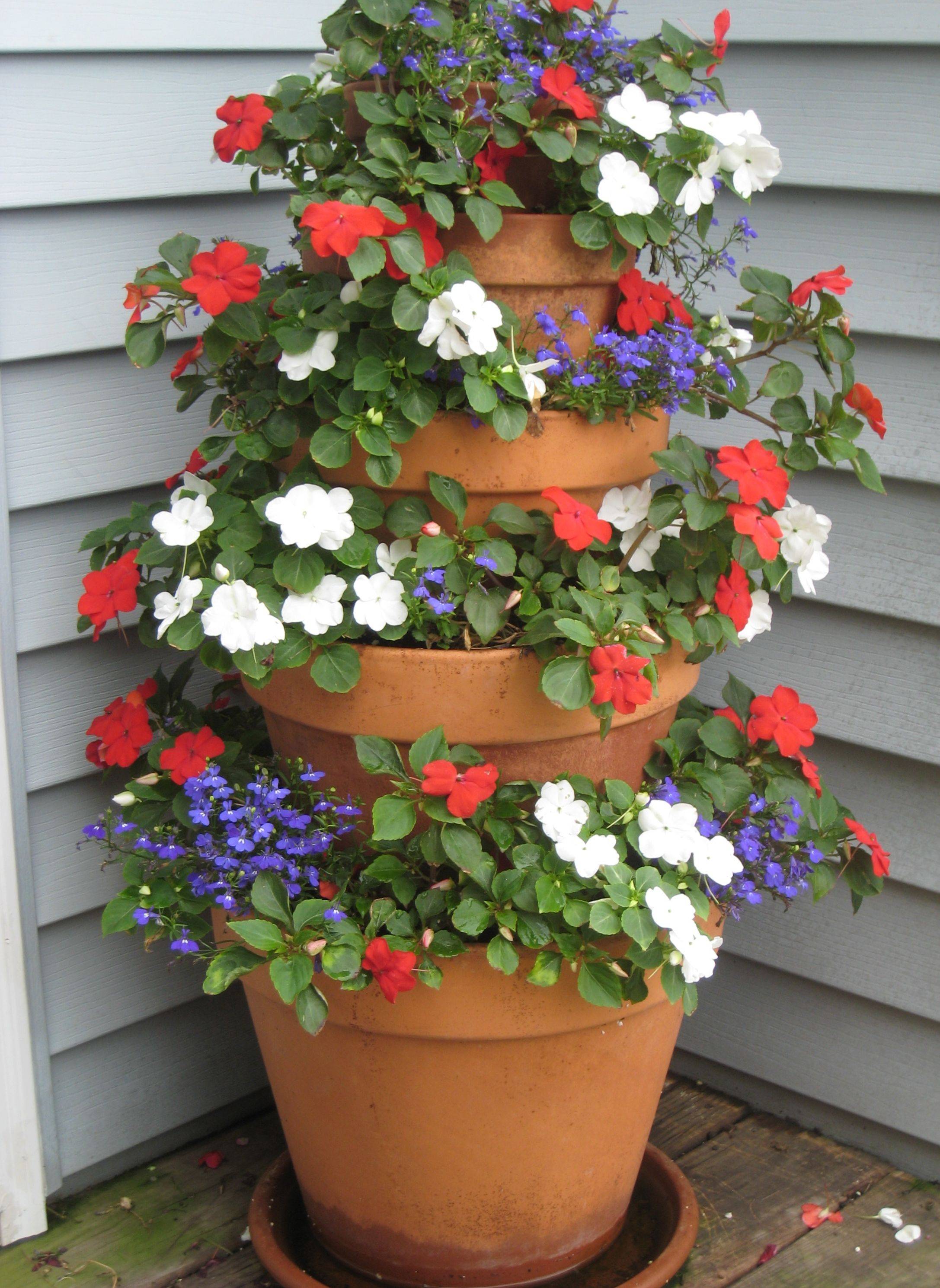 Wonderful Summer Container Garden Flower Ideas