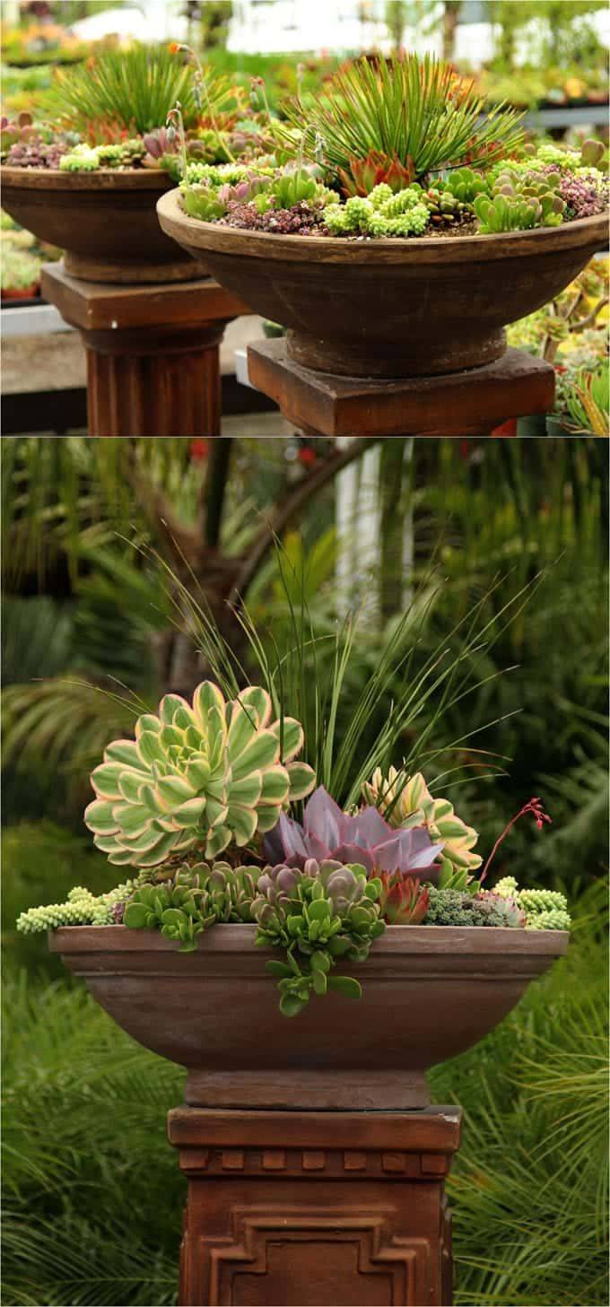 Unique And Beautiful Container Garden Ideas You Need To Have