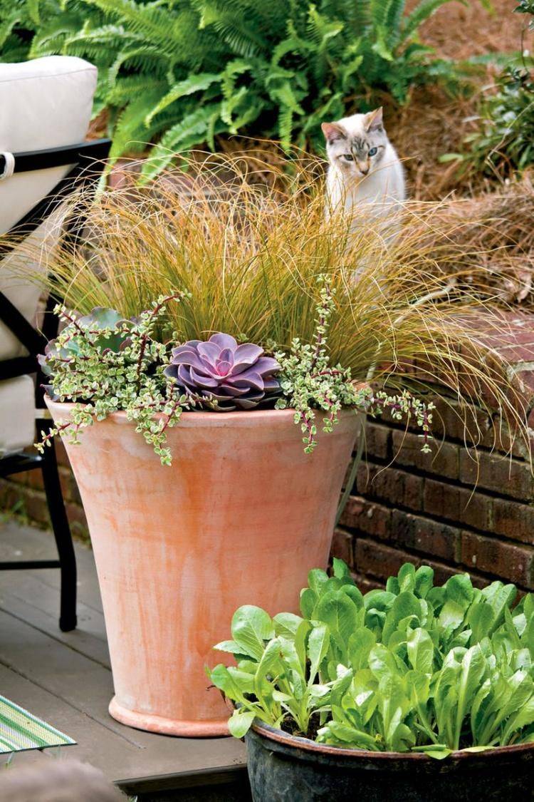 Beautiful Outdoor Succulent Planter Ideas Magzhouse