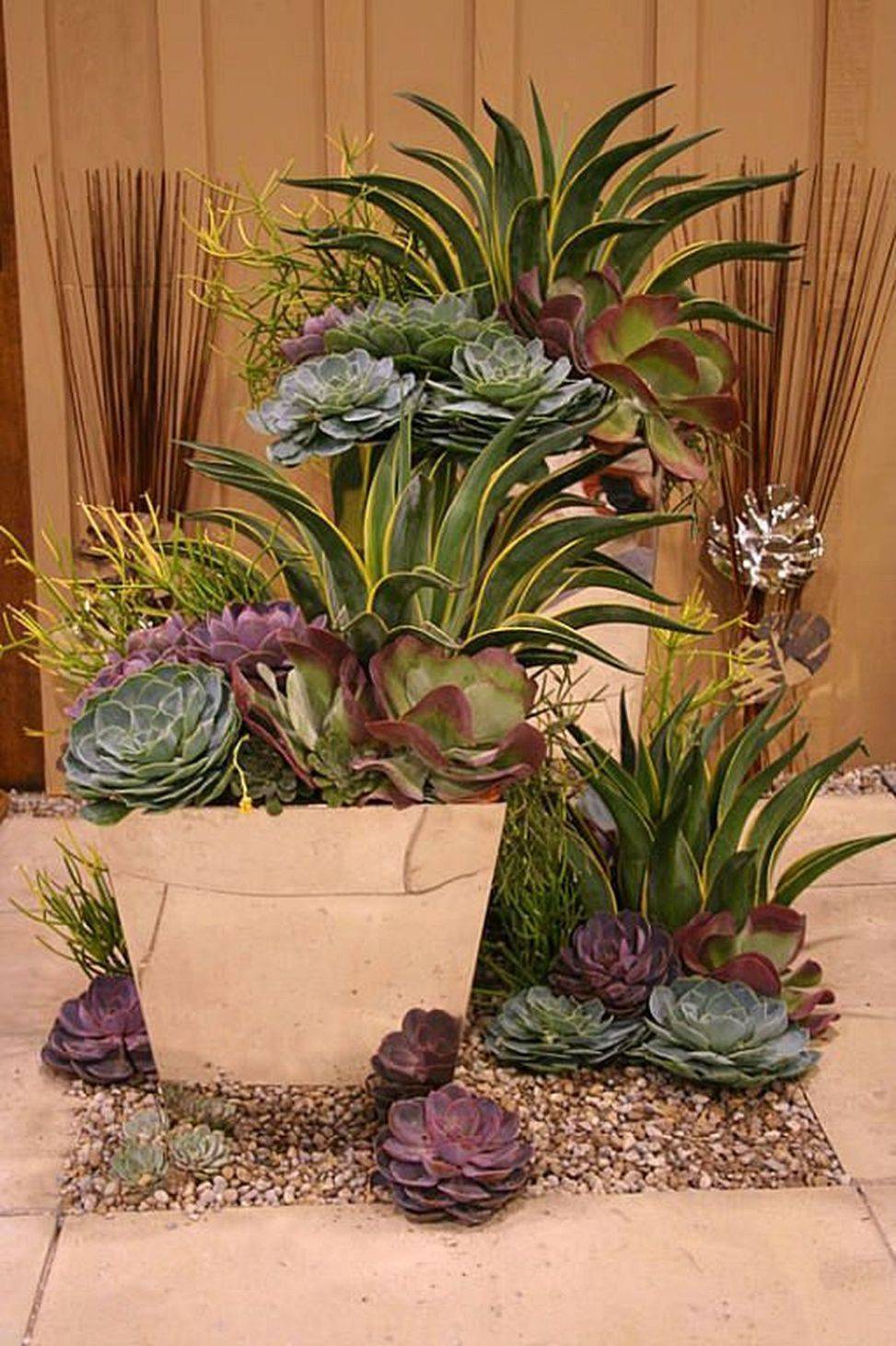 Succulent Container Garden Care Garden Design Ideas