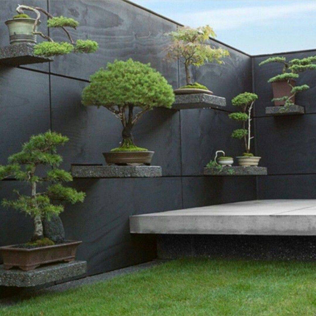 Creative Vertical Garden Ideas