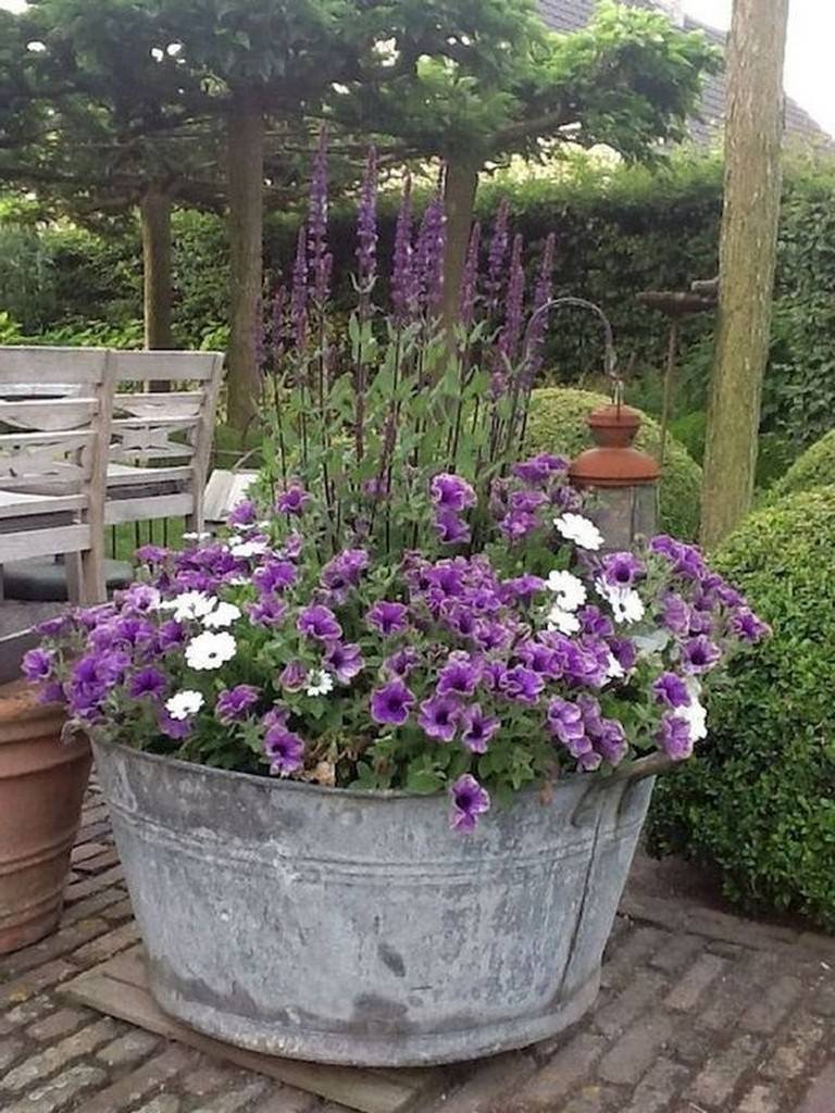 Container Gardening Ideas Potted Plant Ideas We Love