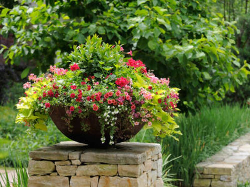 Graceful Container Garden Ideas