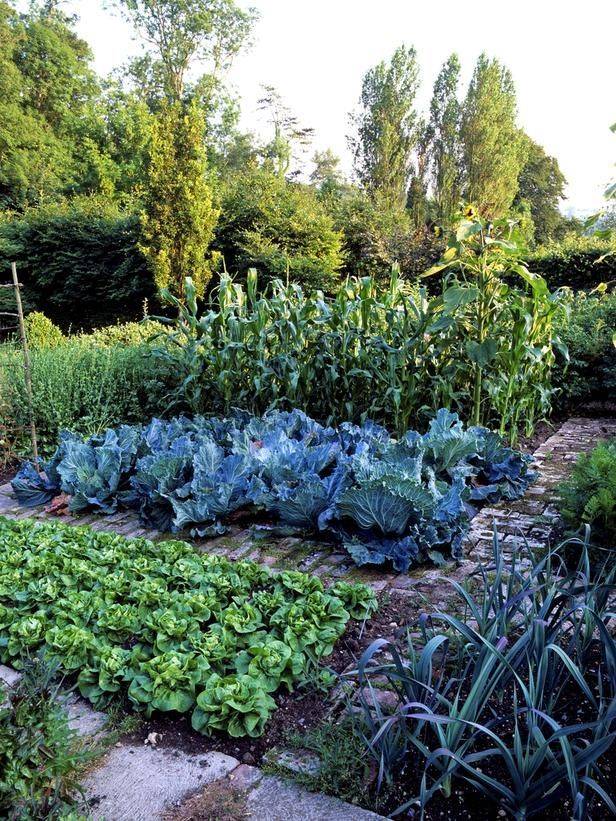 Small Vegetable Gardens