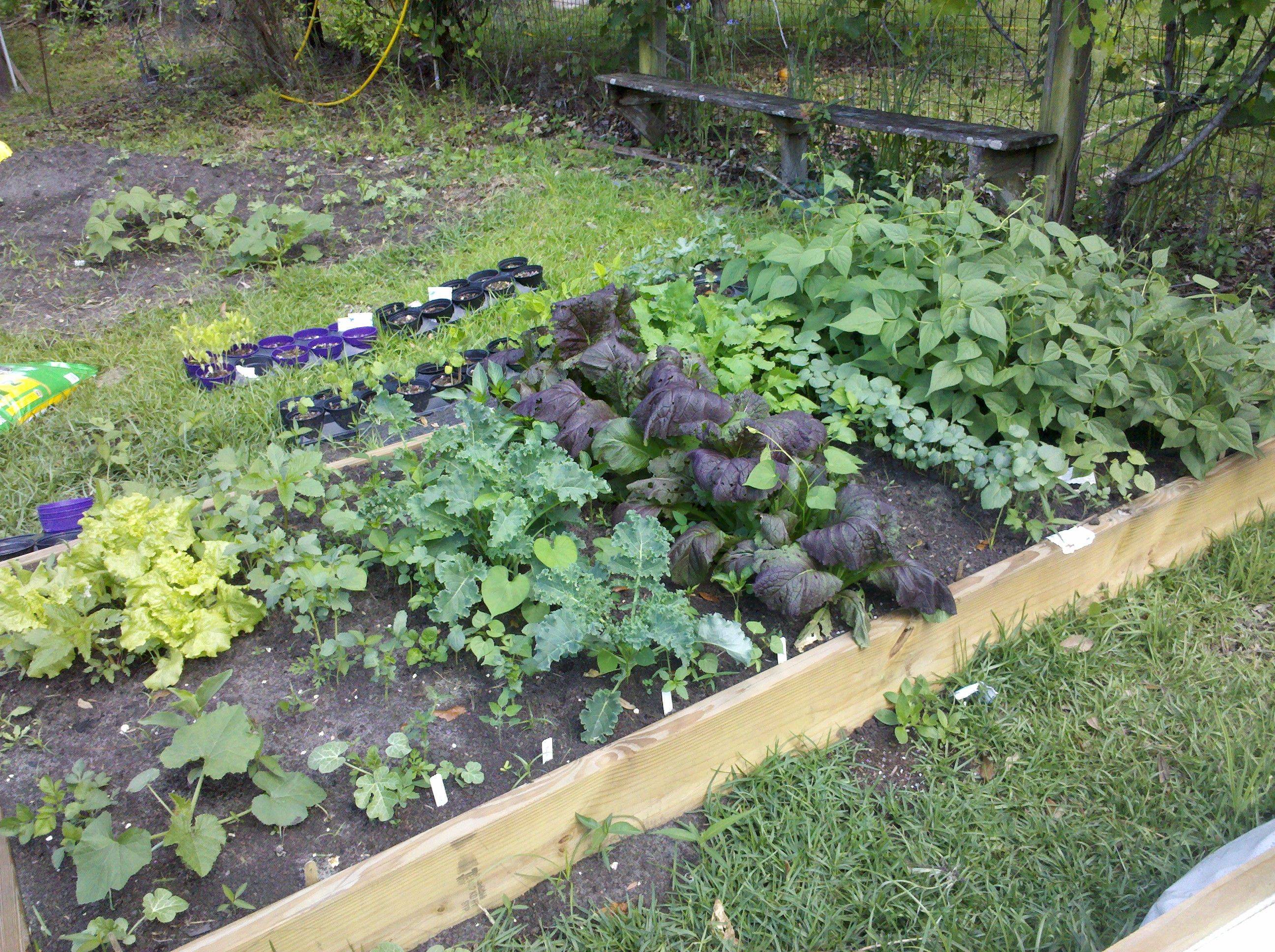 Stunning Vegetable Garden Ideas