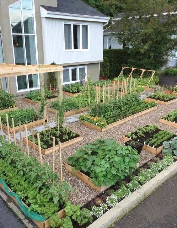 Family Food Garden Garden Planning
