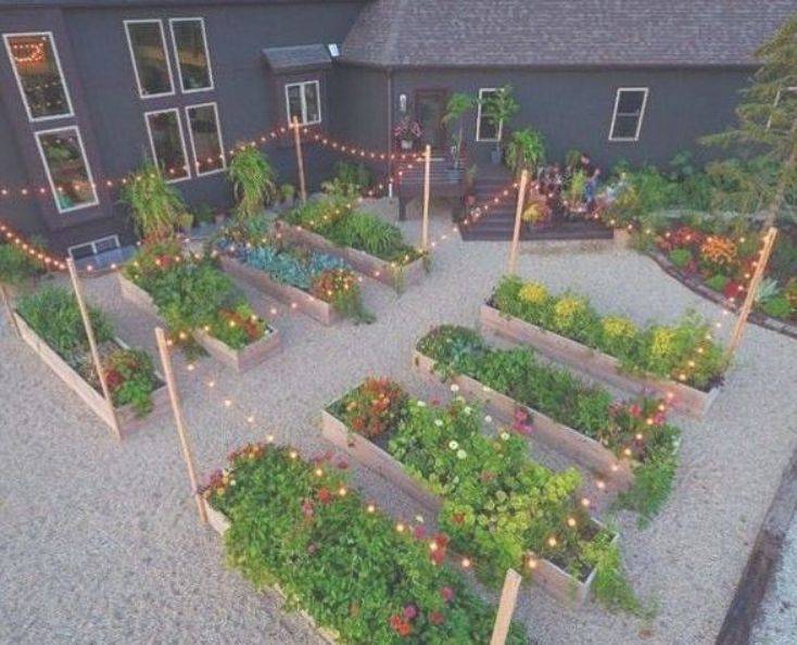 Stunning Vegetable Garden Ideas