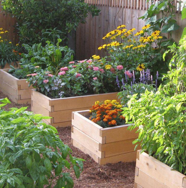 Traditional Raise Vegetable Garden