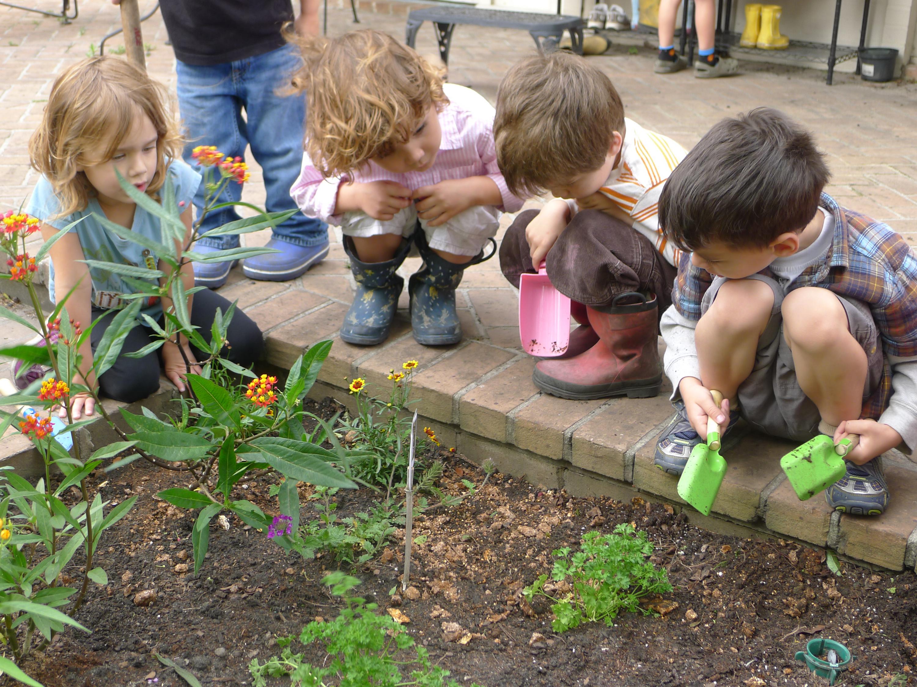 Sweet Simple School Garden Design Ideas Page