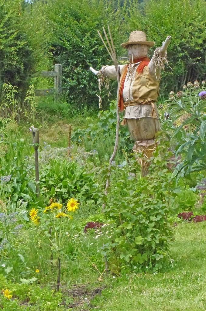 Gorgeous Garden Scarecrow Ideas Scarecrows